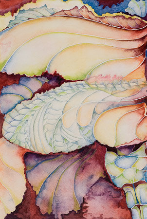 Wings