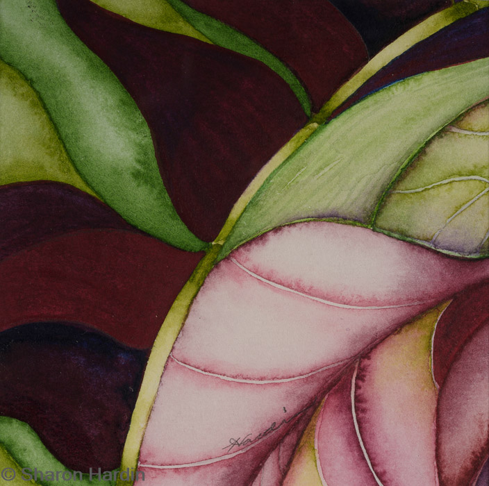 Leaf Forms