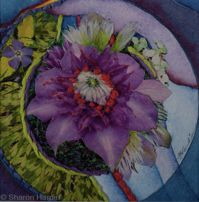 Purple Blooming