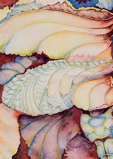 wings