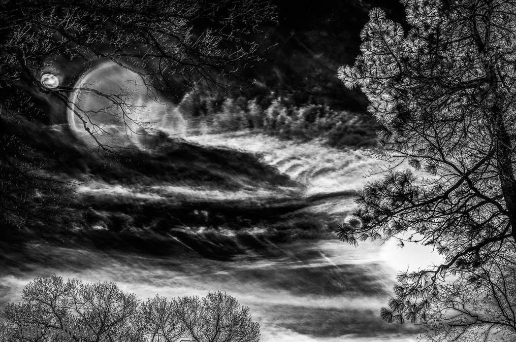 IR011523-46-50