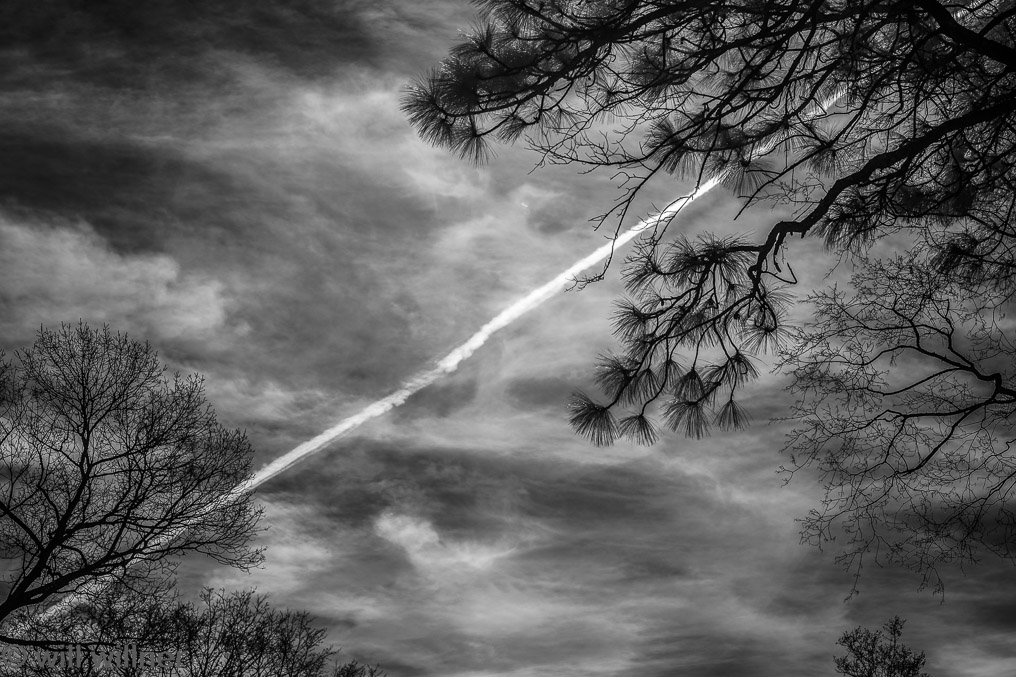 IR012823-106-110