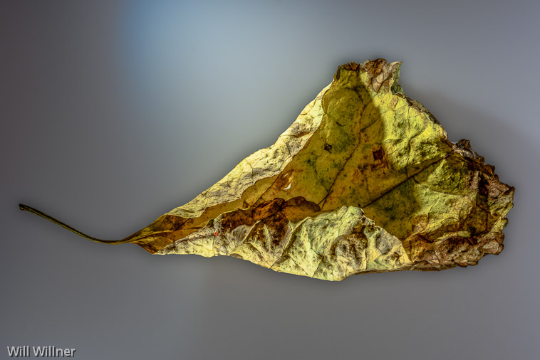 SD110920-044