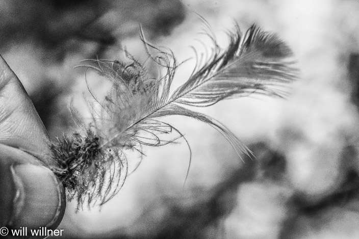 IR091423-032-4