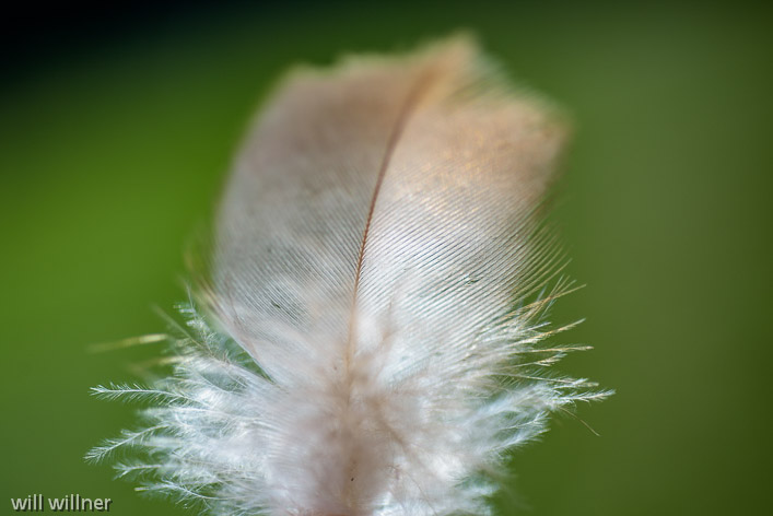 AH070516-031