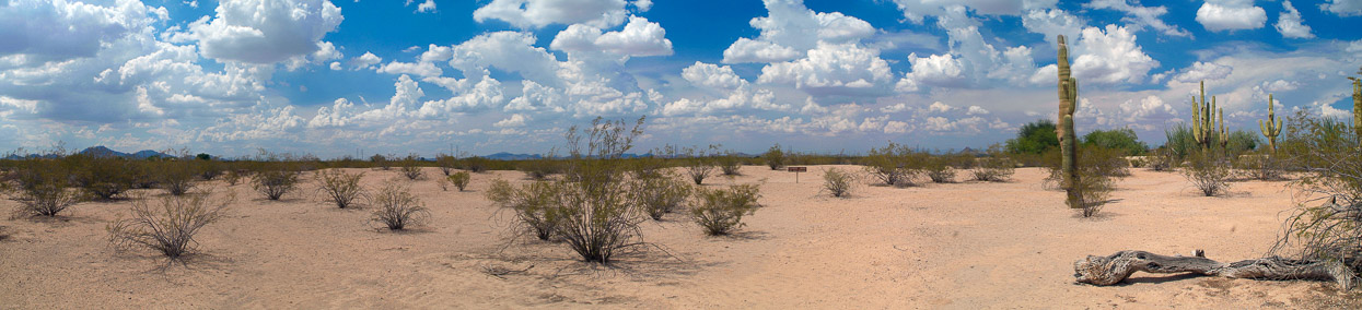 VC072907831-841