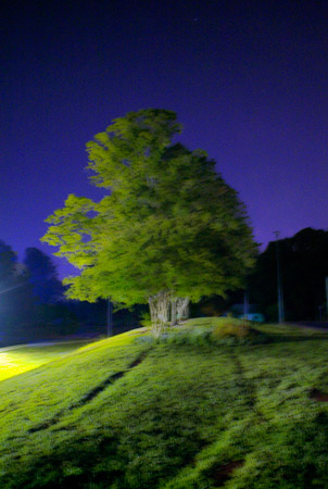 NT060108-010
