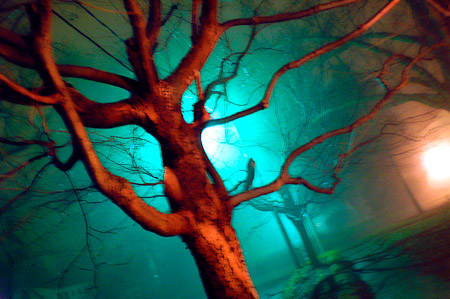 Night-08