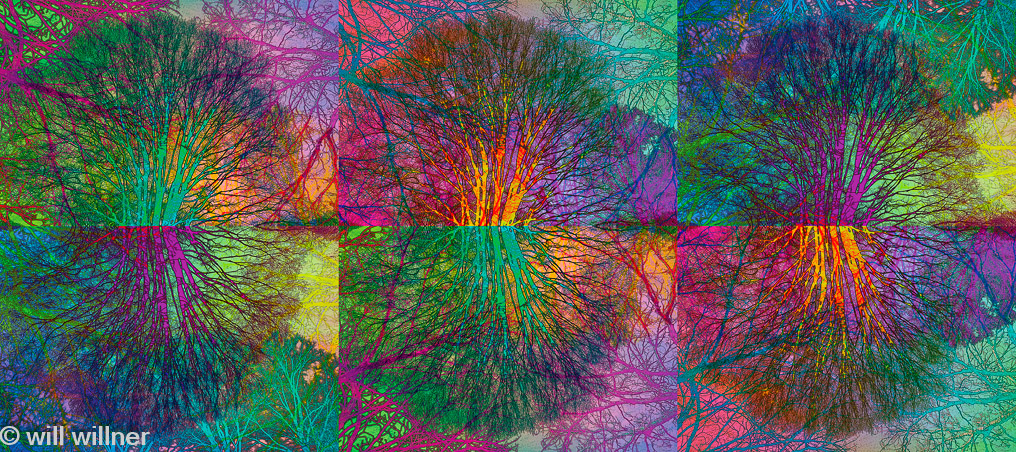 8-5-38